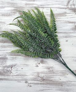 Frosted Boston Fern Bush x 7 – 16″
