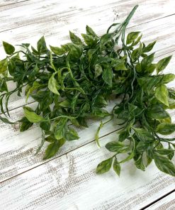 Dk Green Ruscus Bush x 5 – 18″