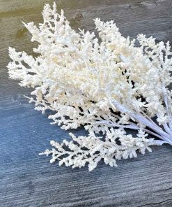Winter White Cedar Bush – 22″