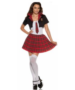 Classroom Crush School Girl Adult Costume
