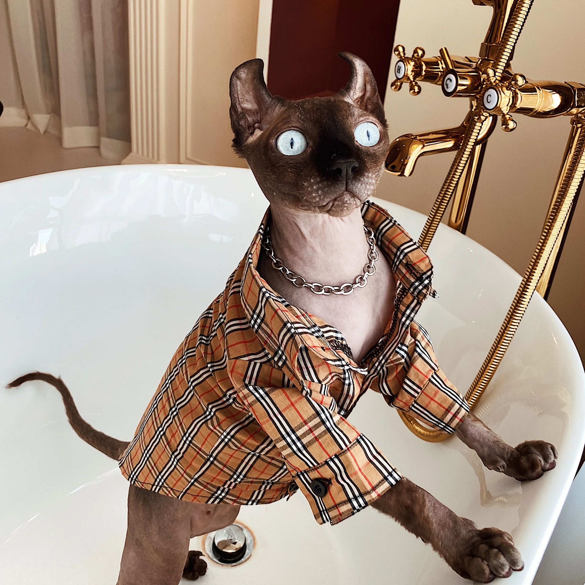 Cat Shirts for Cats-Burberry T-Shirt