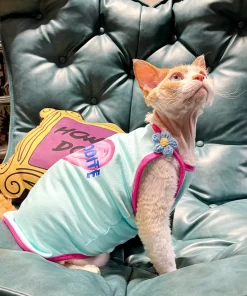 Candy Color Summer Camisole for Sphynx, Devon Rex