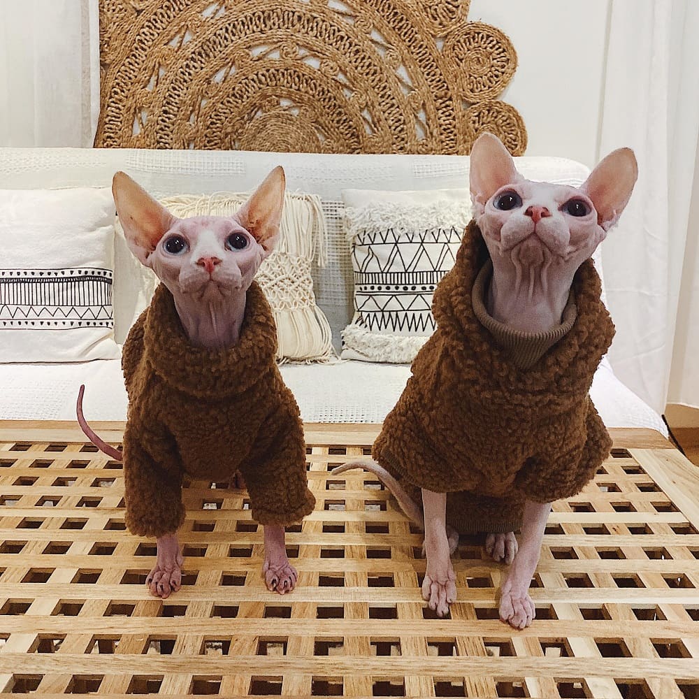 Cute Sweaters for Cats-Brown Turtleneck Sweater - Image 9