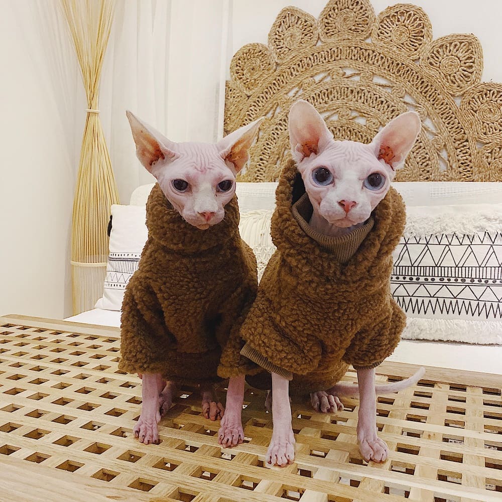 Cute Sweaters for Cats-Brown Turtleneck Sweater - Image 6