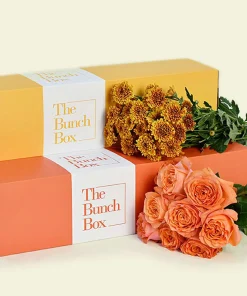 Duo Bunch Maisy