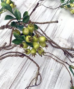 Wild Rose Hip Branch – 42″