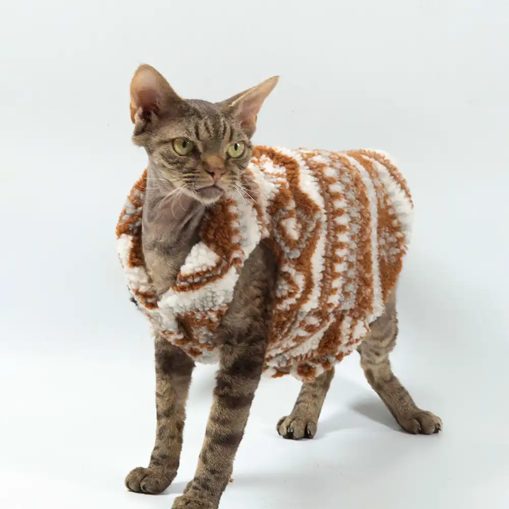 Lamb Velvet Zip Christmas Jacket for Cat - Image 4