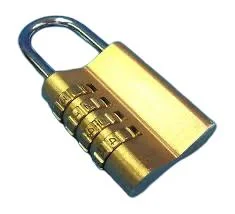 COMBINATION  PADDLE LOCK MYSTERY