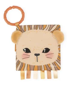Activity Book – The Curious Lion