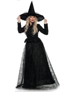 Wicked Witch Adult Costume